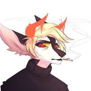 Meet your Posher, Aj